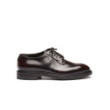 Pascoli dark brown Derby shoes