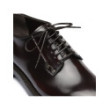 Pascoli dark brown Derby shoes