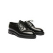 Pascoli black Derby shoes